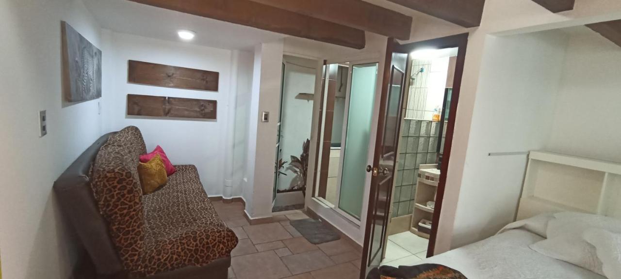 Casa Kalidy Coyoacan Мехико Экстерьер фото